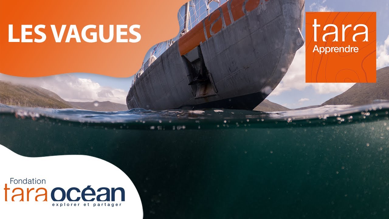 TarApprendre : Comment se forment les vagues ?