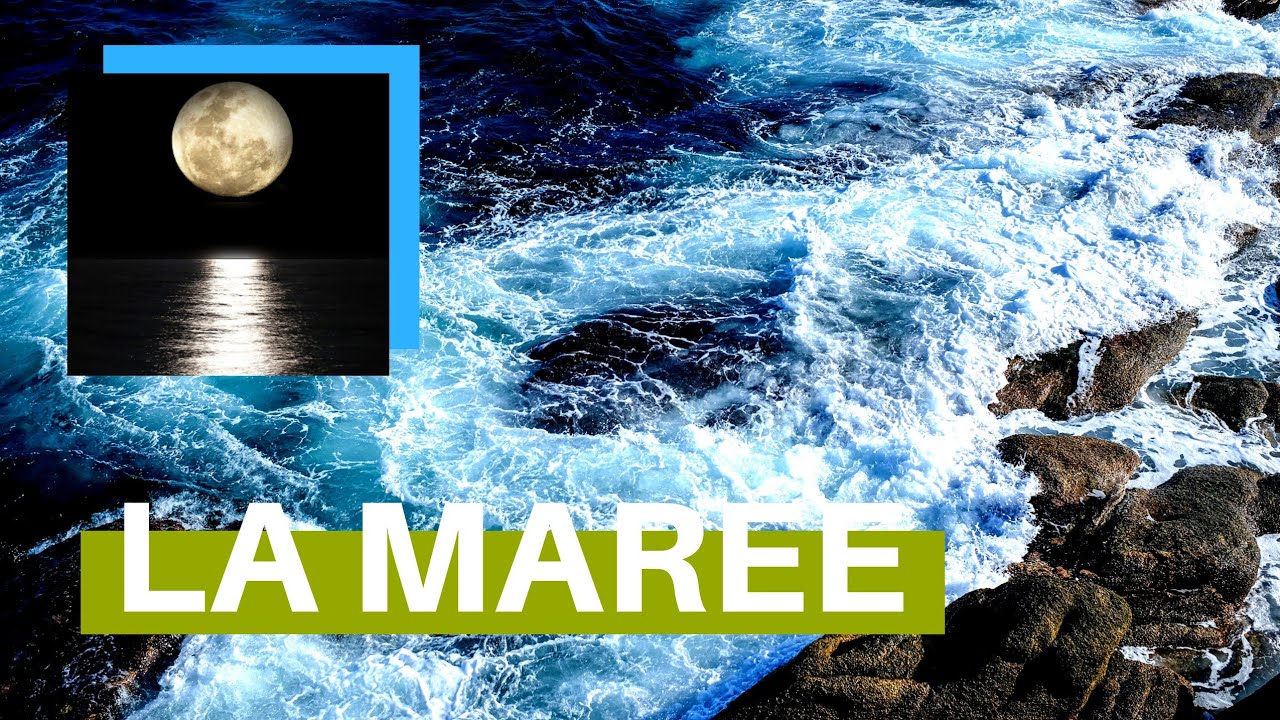 L'INFLUENCE DE LA MARÉE SUR LES VAGUES