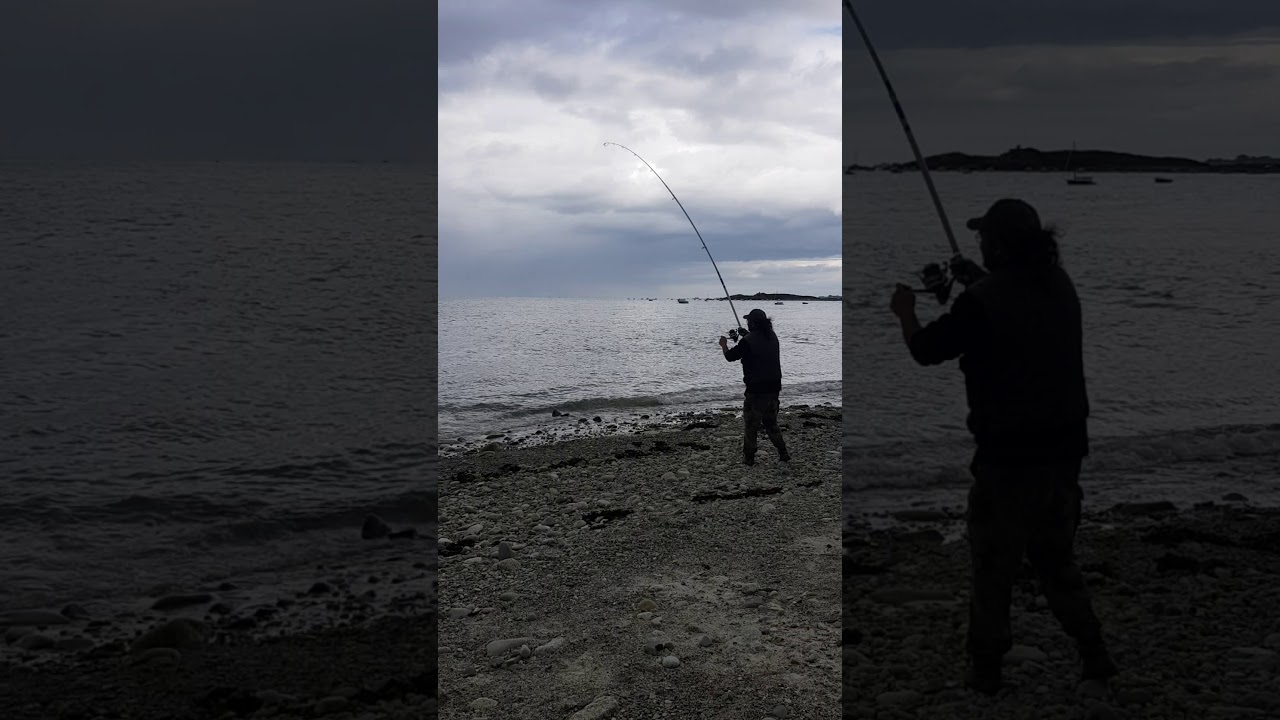 Dorade royale surf casting en bretagne