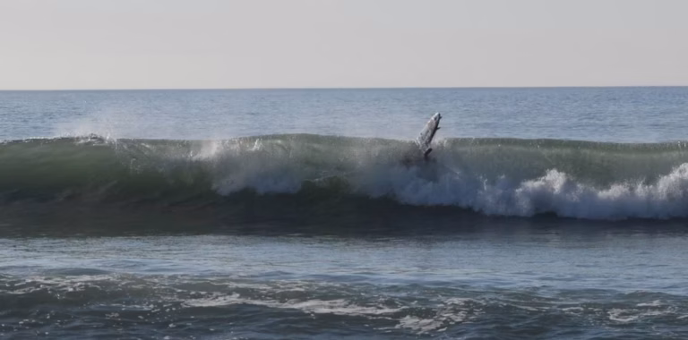 Morgan Ménez rejoint Surf Harmony à Saint-Briac-sur-Mer pour dynamiser l&rsquo;équipe
